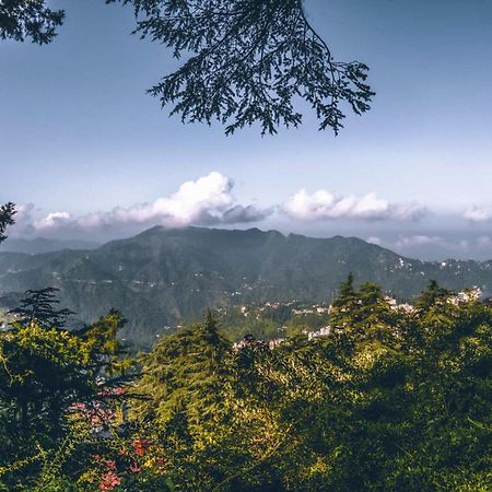 Stayvista At Rose Cottage - Bonfire & Scenic View Shimla Eksteriør bilde